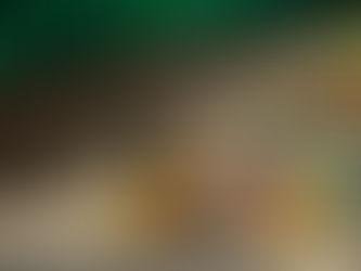 Maar wat als de werkelijke winst ergens anders te behalen is? Niet door je leven radicaal om te gooien, maar door elf minuten langer te slapen?