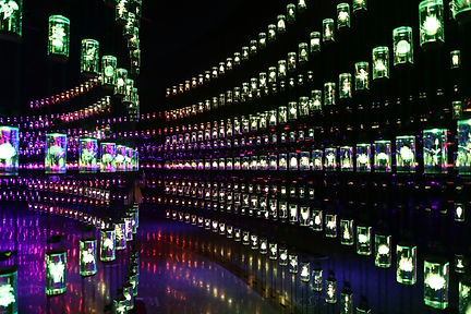 Image by Tamerlan Aziev