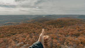 Distress Tolerance: The What, Why, & How of Radical Acceptance