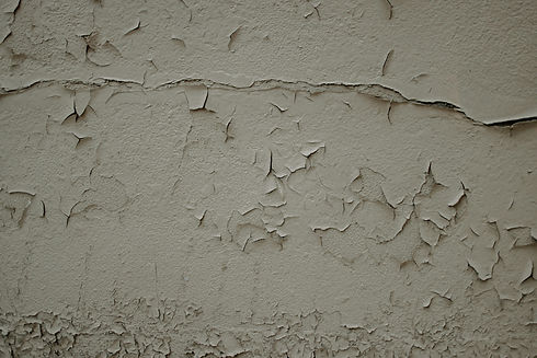 Image by Annie Spratt