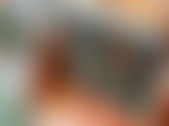 Albums sans texte : la poésie silencieuse qui charme les enfants