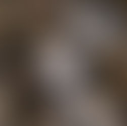 All Shucked Up - Howth Guinness Oyster & Music Festival