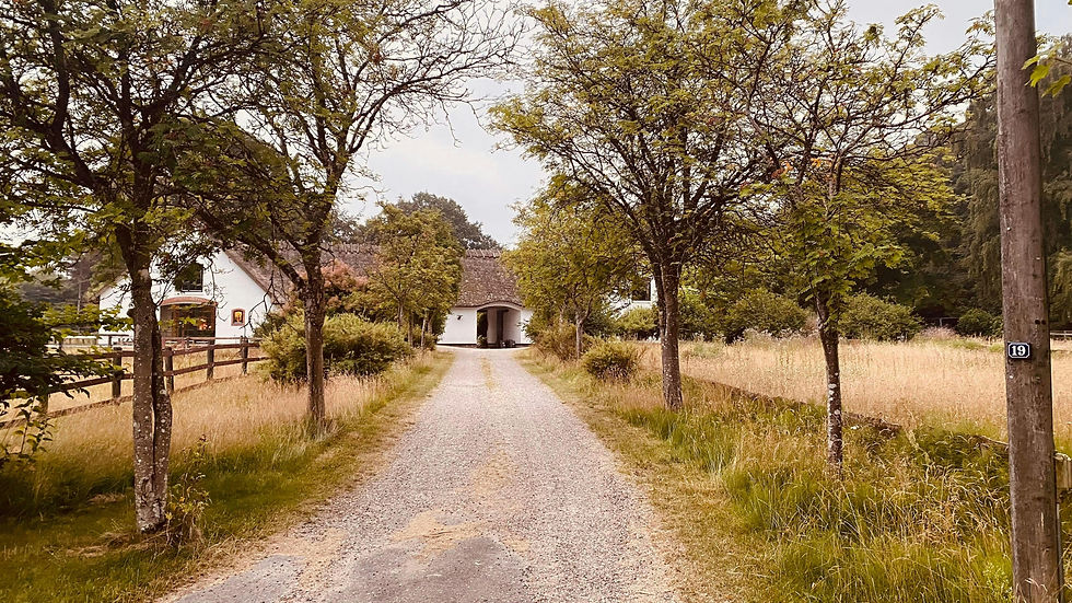Hill Country home in rural Texas representing selling and buying a home during a transition.