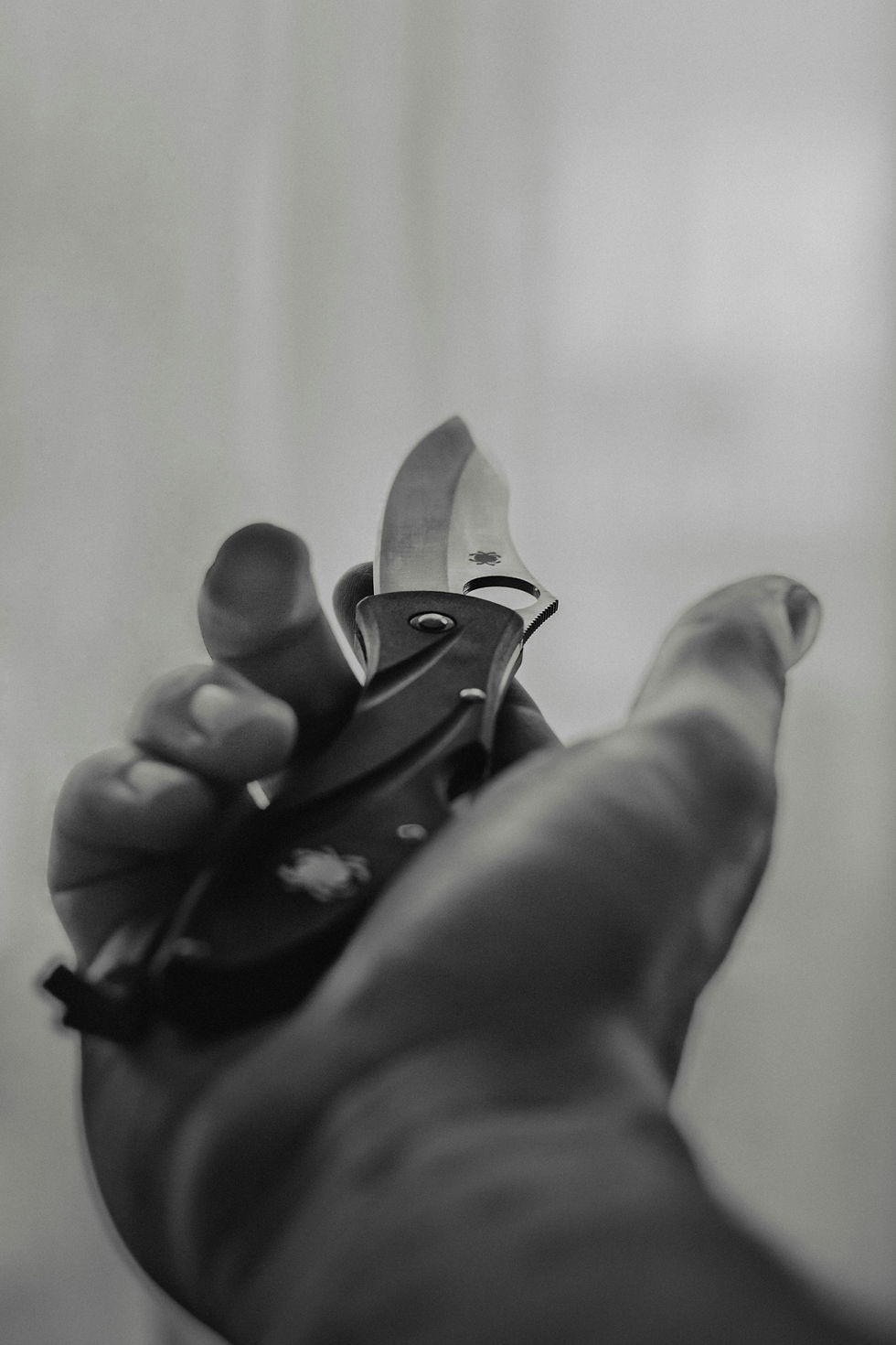 Image by Ethan Rougon