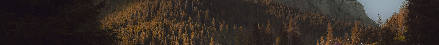 Image by Andrei R. Popescu