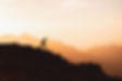 Image by NEOM