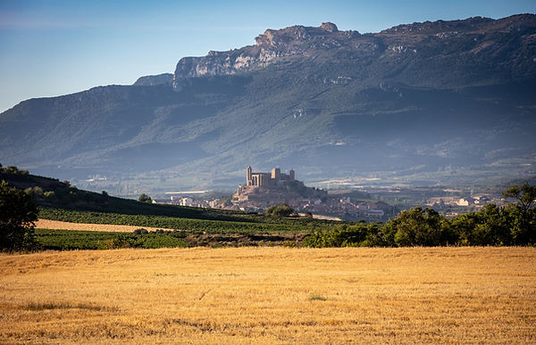Image by Mario La Pergola