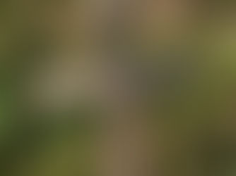 Families Of Deceased Loved Ones in Mississippi Are Haunted By Three Unsettling Things: Unmarked Graves Containing Unidentified Bodies, A Mysterious Jail & A Multitude Of Unanswered Questions