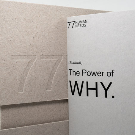 Rethinking Product Development Strategies for Entering the U.S. Market – U.S. Correspondence by Jay Lee (169)