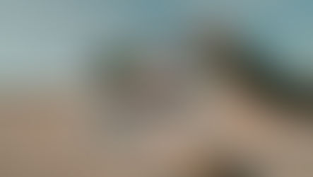 Les vidéos "LIVE" sur LinkedIn