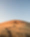 Denise Pounds Counseling and Biofeedback, Amarillo Texas, Therapy, Counseling, ADHD Assessments