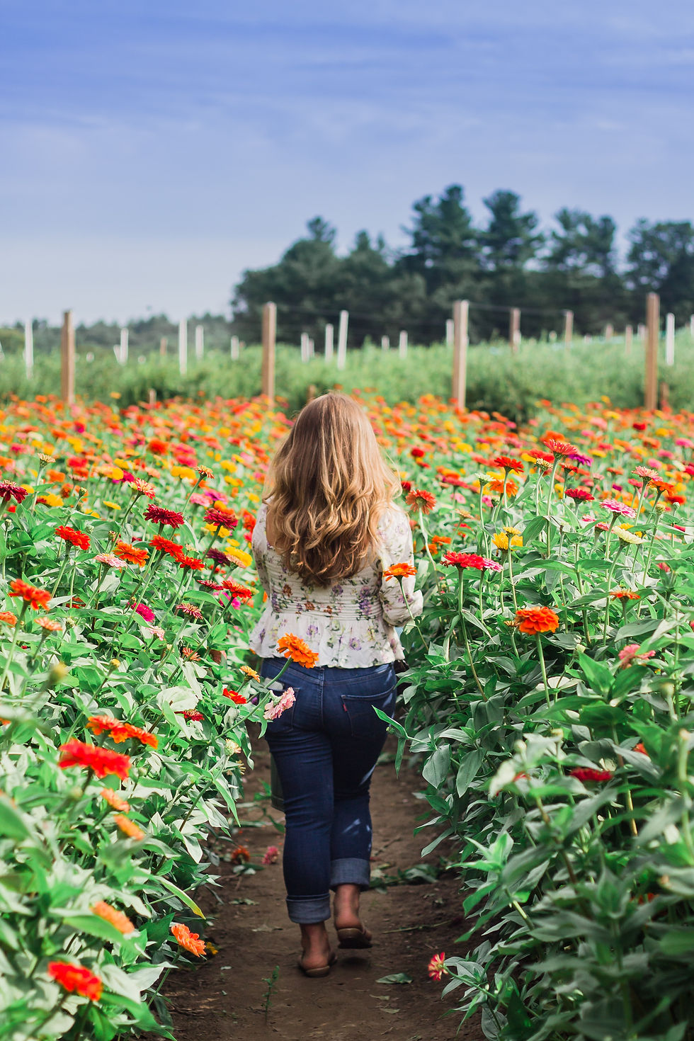 Imagine walking through a local field of flowers deciding which ones to use for your wedding!