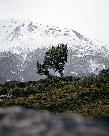 Image by Kirill Pershin