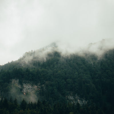 Oh, My Friend, How Is Your Blue? - Diana Radovan