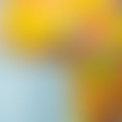 Free Africa Tenders website - Find the latest government tenders and tender notices across Africa, including RFPs, bids, RFQs, GPNs, BOQs, and more