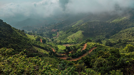 Image by Mohan Vamsi Somireddi