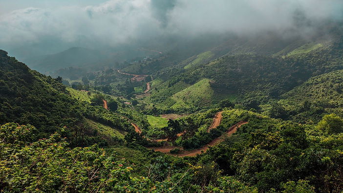 Image by Mohan Vamsi Somireddi