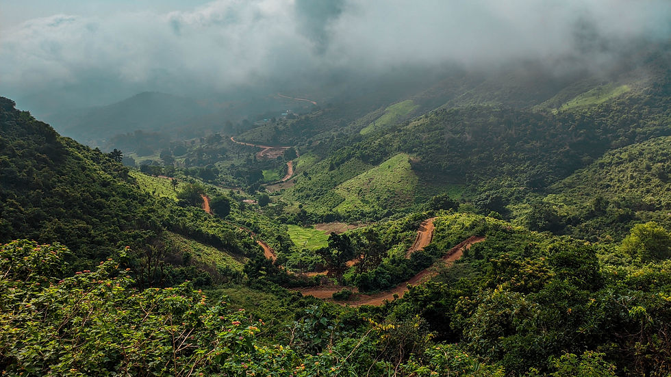 Image by Mohan Vamsi Somireddi