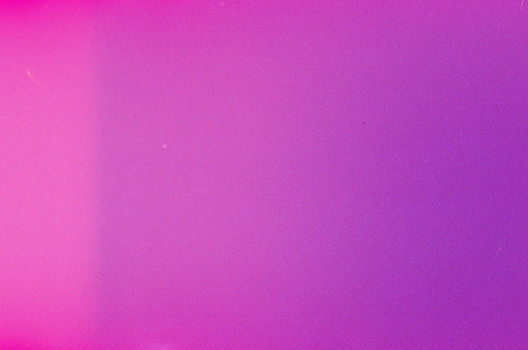 Image by Taylor Friehl