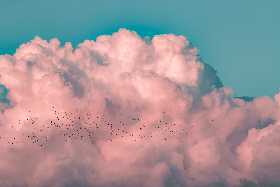 Image by Kenrick Mills