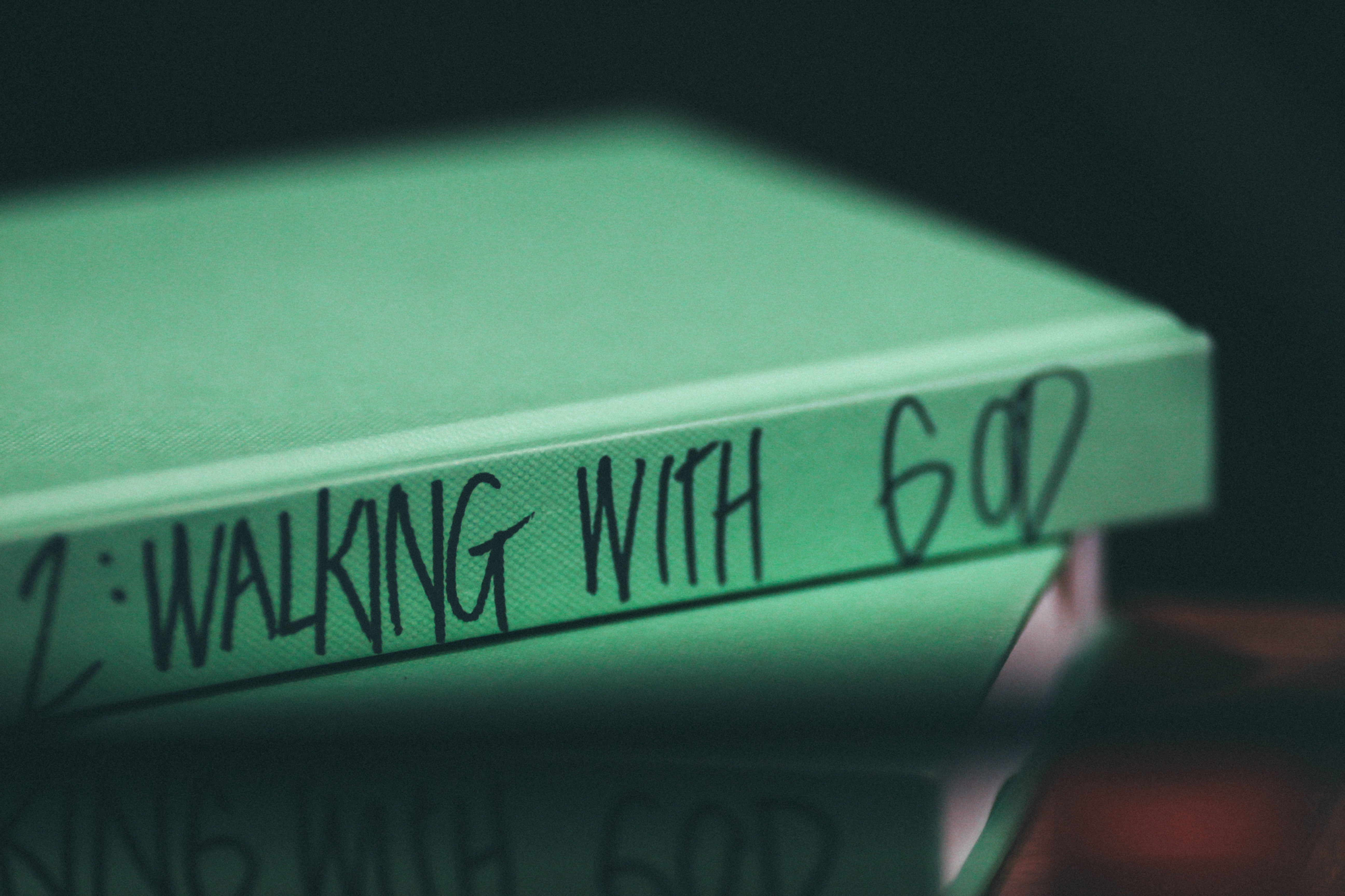 Christian Growth & Discipleship Coaching