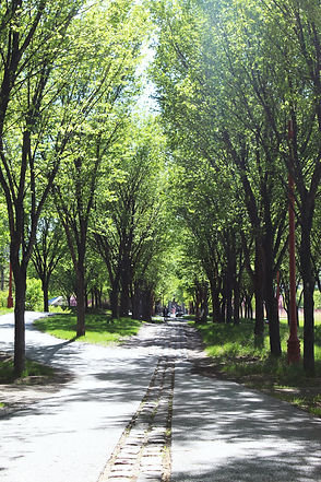 Parc La Vérendrye