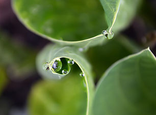 Image by Magdalena Nowakowska