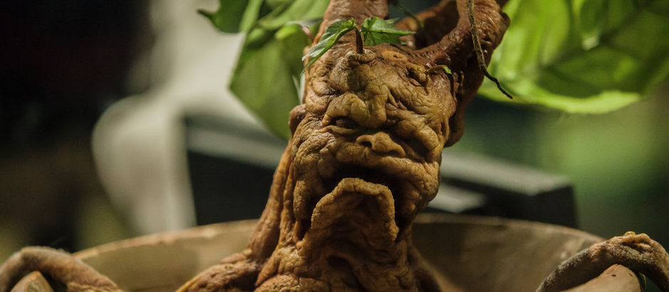 homunculi