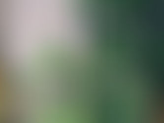 January 10 - Houseplant Appreciation Day