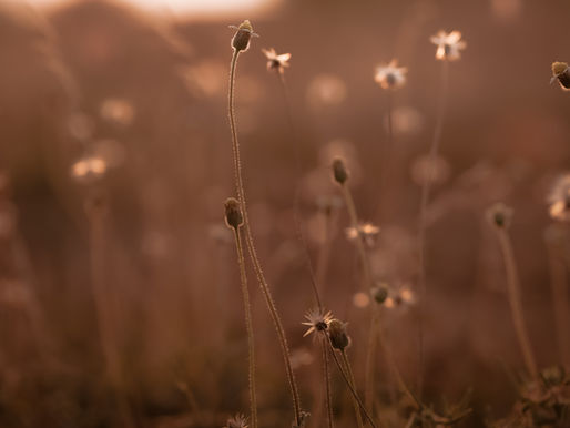 Developing Spiritual Maturity: A Journey Towards Understanding