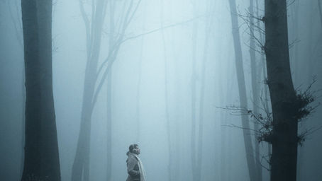 Clearing the Fog Around Menopause Hormone Therapy