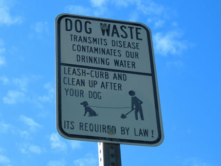 The Scoop on Pet Waste Removal: Why Acting Swiftly is Key to a Clean Yard and Happy Pets