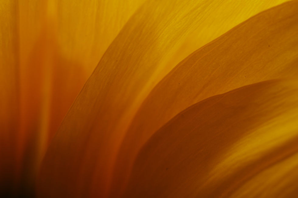Image by James Lee