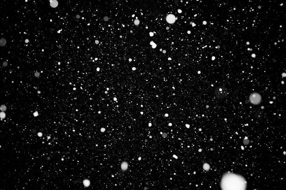 Image by Cindy Bartillon