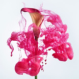 Image by Benoit PAILLEY