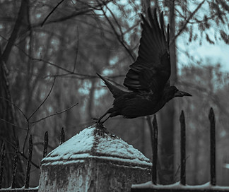 Image by Denys Hrychak