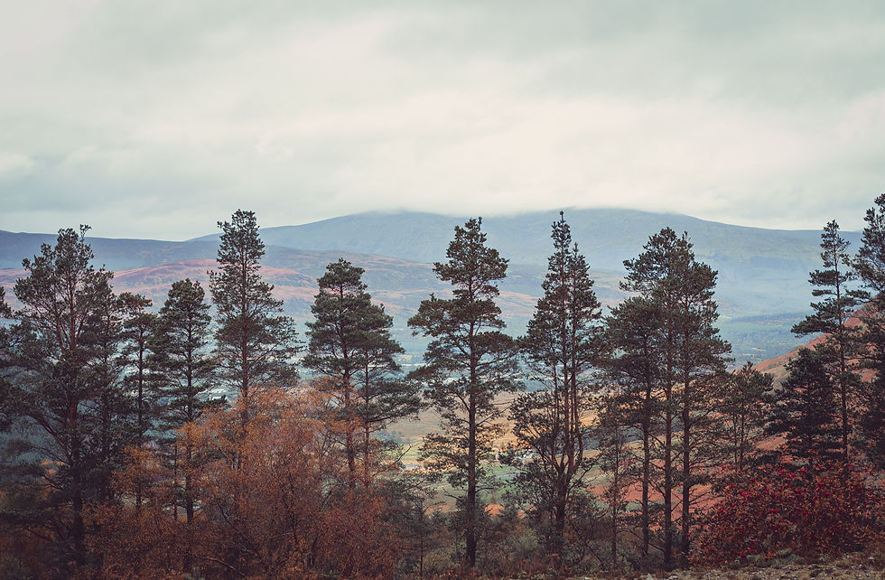 Image by Anna Saveleva