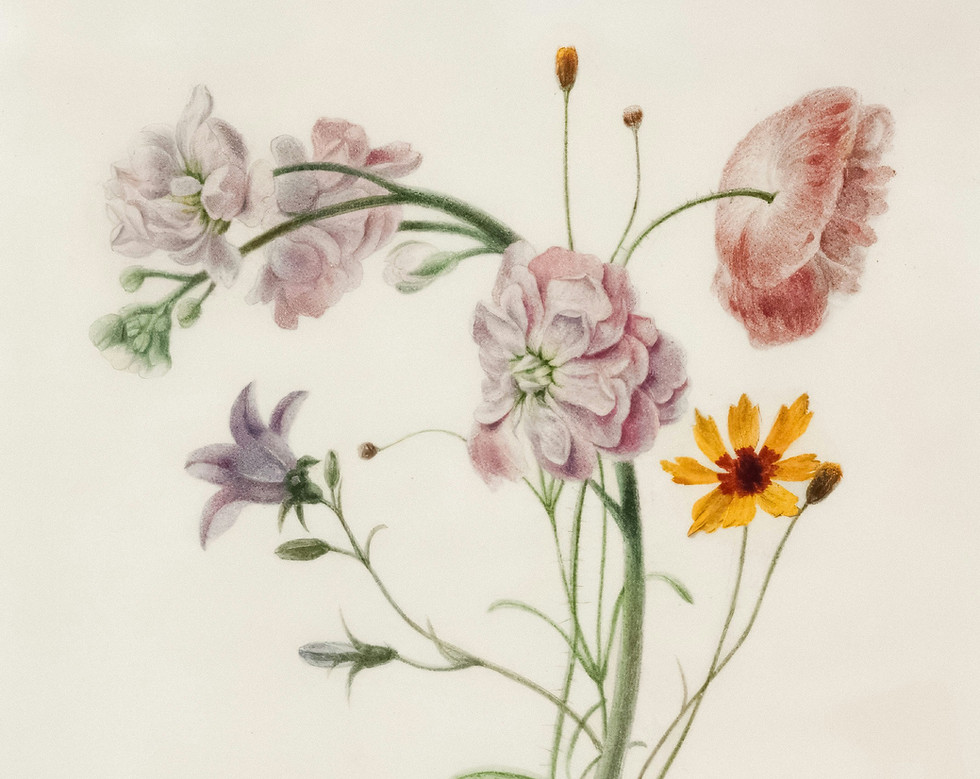 Image by Europeana