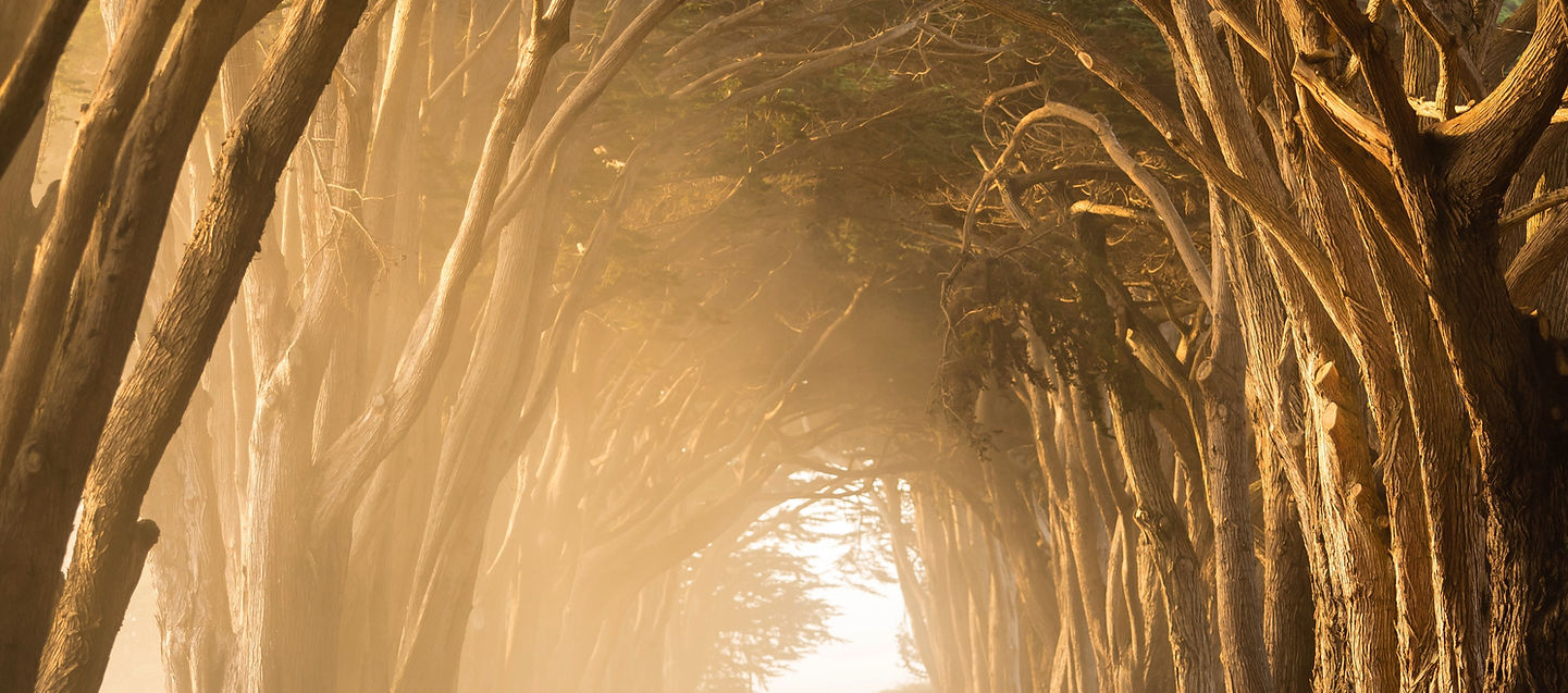 Golden light pouring through a narrow ancient archway, representing the disciplined, focused path to truth