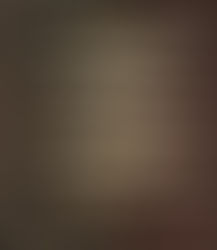 12 Spoons, 4 Quarters