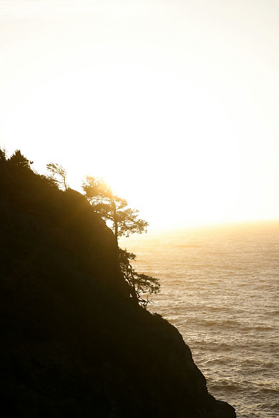 Image by Royce Fonseca