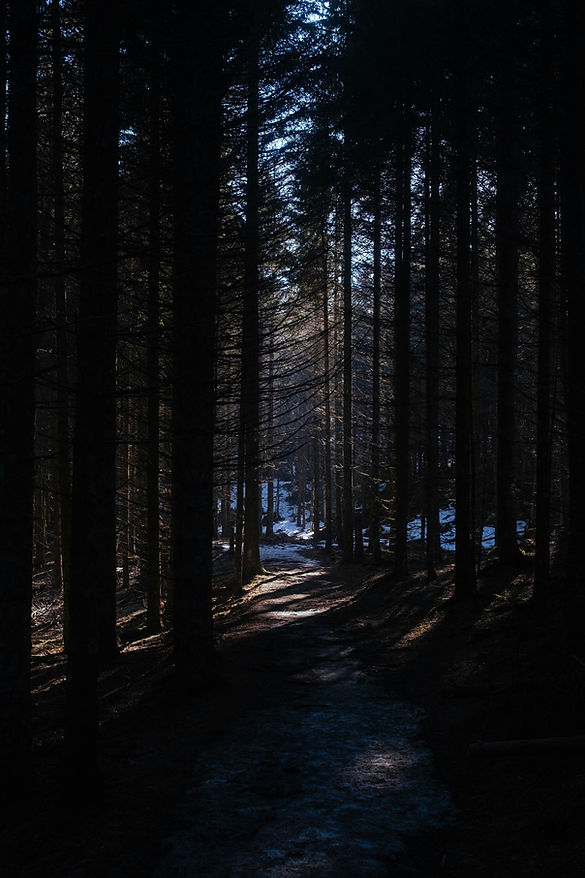 Image by Jérémie Crausaz