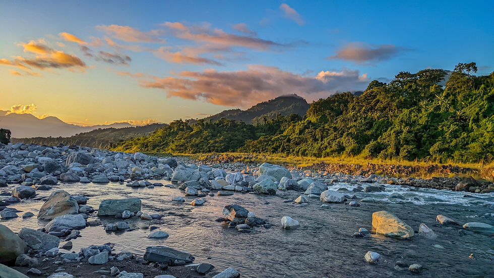 Assam & Arunachal: Rhinos & Road Trips
