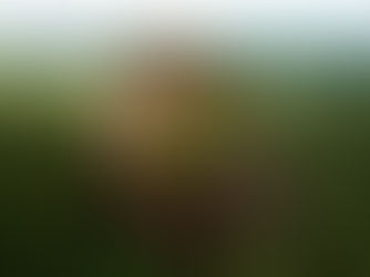 Countdown to Sri Lanka