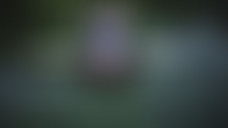 Oder River: Nature & Early People