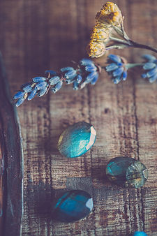 Image by Judith Zimmermann
