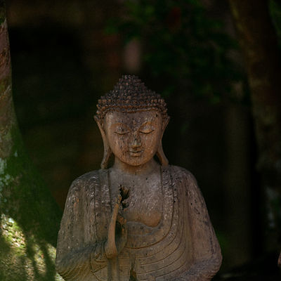 Image by Didi Paul