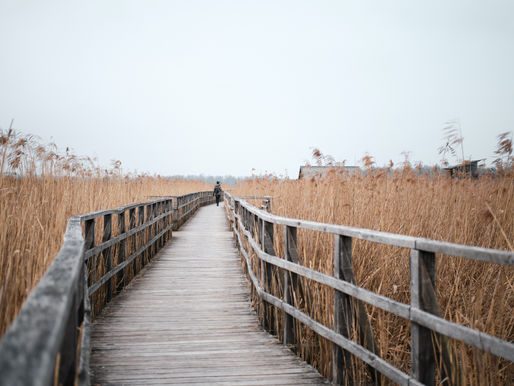 Want to Improve Your Life? The Do's and Don'ts.