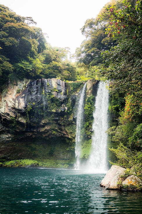 Image by Kaylyn Mok