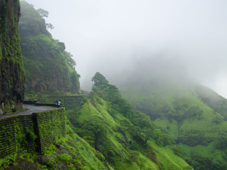 Emerald Paradise: Goa's Monsoon Magic (July-August 2025)